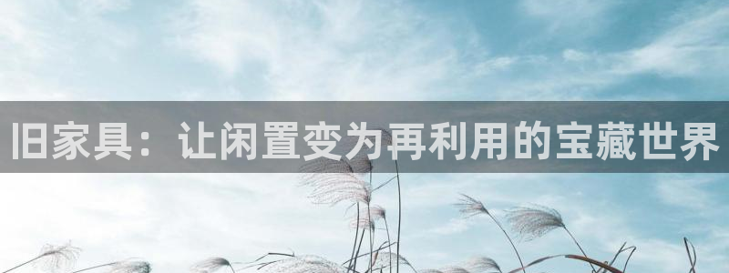 手机版龙八国际官网