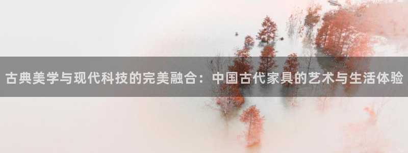 国际龙八国集团