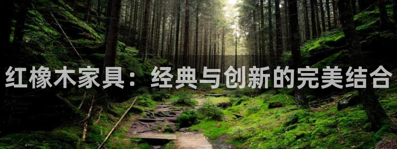 龙八国际娱乐网址