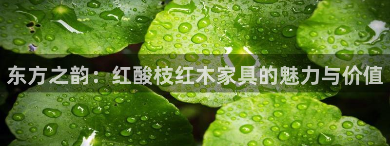 龙八国际官网下载