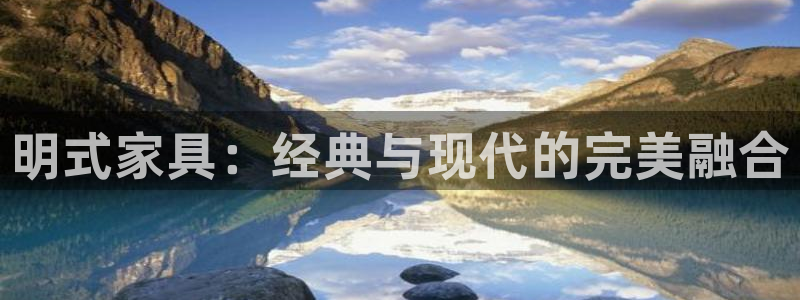 龙八国际app