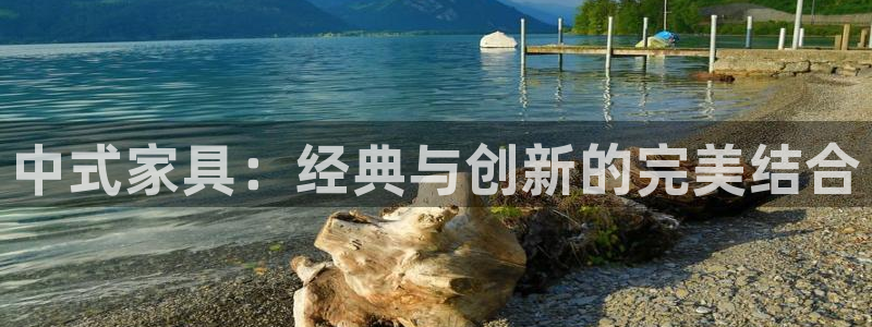 龙八国际股票