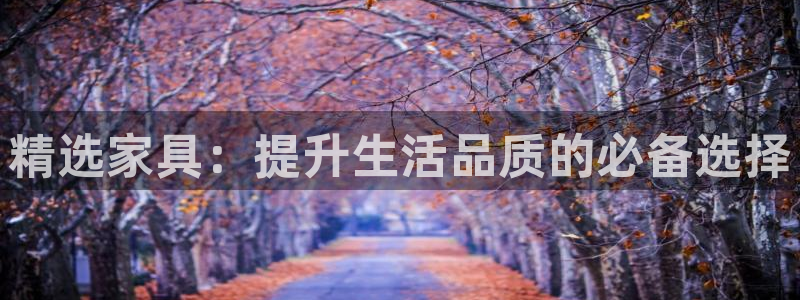 龙八国际下载安装