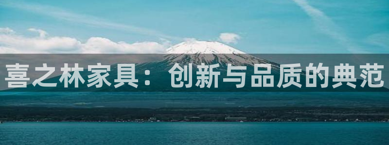 正规龙八国际