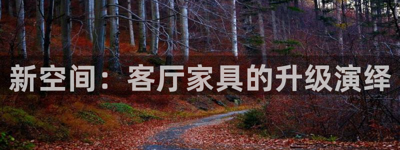 在龙八国际