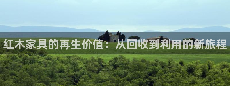 龙八国际是什么软件