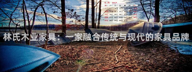 龙八国际游戏