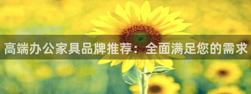 龙八国际mg老虎机