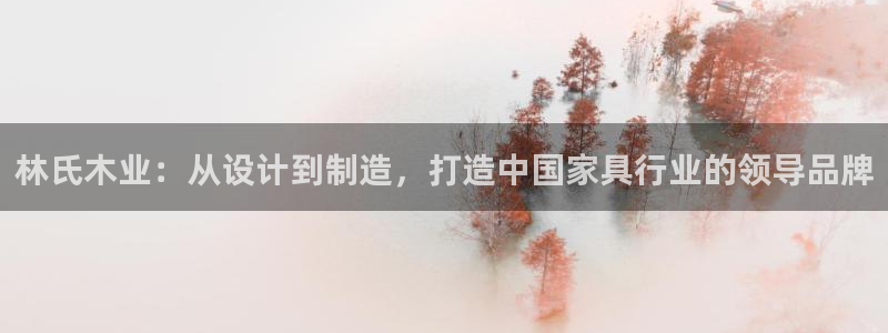 菲律宾的龙八国际输钱