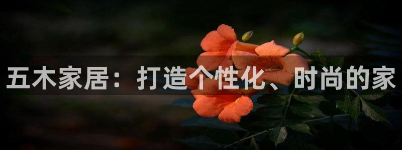 龙八国际客服