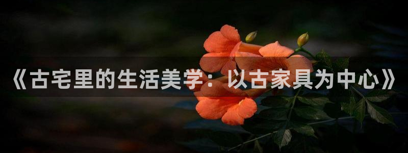 龙八国际图片
