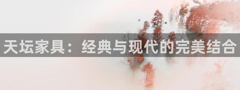 龙 八国际
