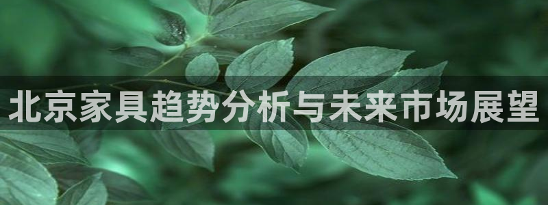 龙八国际app怎么下载