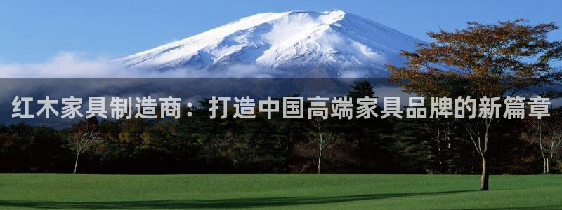 龙八国际什么诈骗