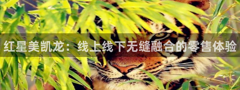 龙八国际手机下载地址