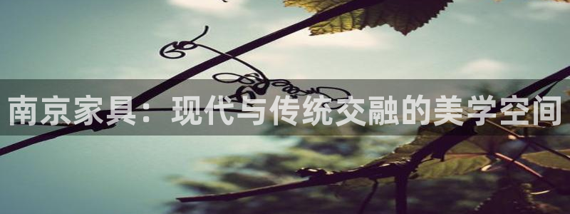 龙八国际app客户端