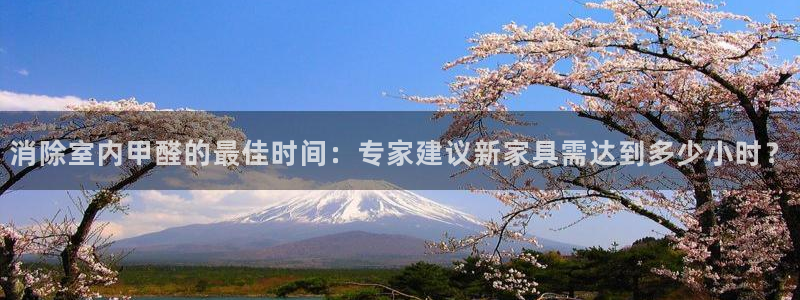 龙八国际 我的