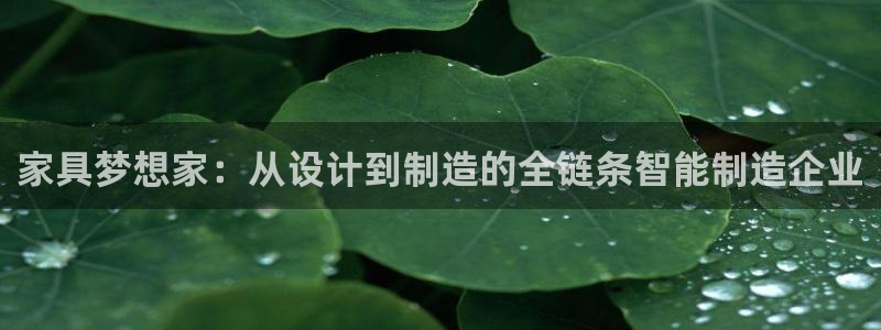 龙八国际是个什么游戏