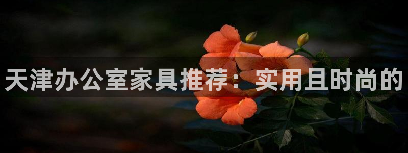 龙八国际娱乐正版