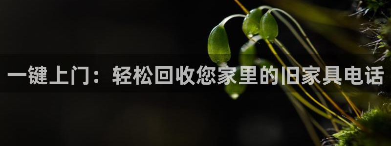 龙八国际app客户端下载不了