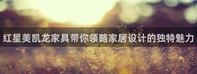 龙八国际娱乐城