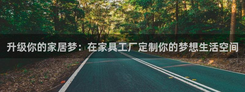 龙八国际服官网