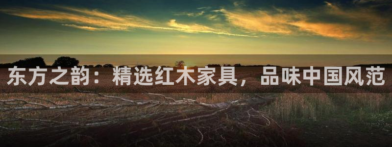 龙八国际登