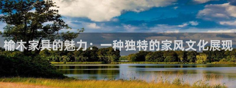 龙八国际官方手游