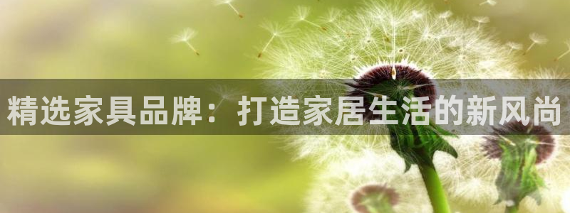 龙八国际视频网站：精选家具品牌：打造家居生活的新风尚