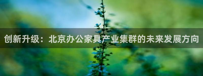 龙八国际娱乐网页多少