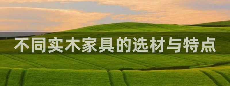 龙八国际怎么注册安卓