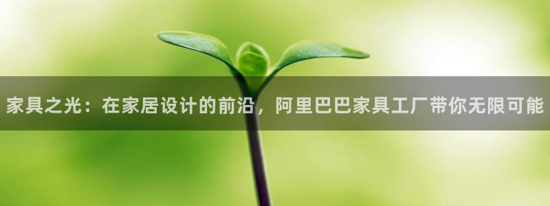 龙八国际怎么注册app