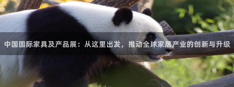 龙八国际怎么注册下载