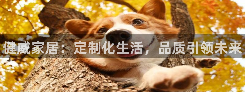 龙八国际免费下载