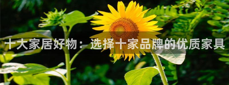 龙八国际免费下载