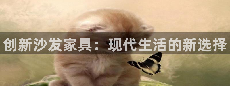 龙八国际备用地址