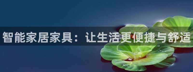 龙八国际选q18点tv