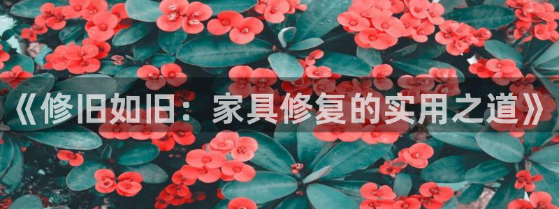 龙八国际公司是真是假