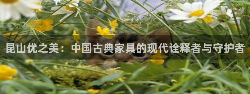 龙八国际怎么注册安卓