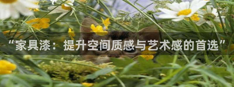 龙八国际app联系方式