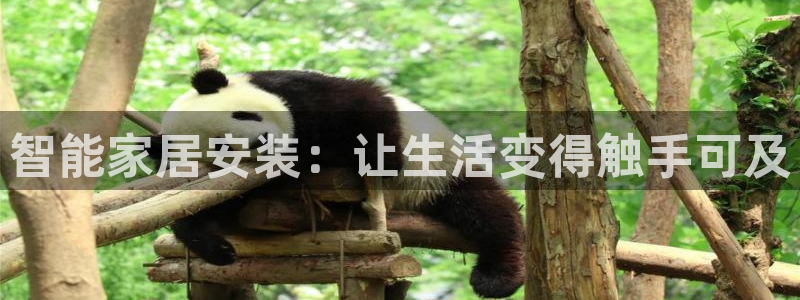 龙八国际app是什么