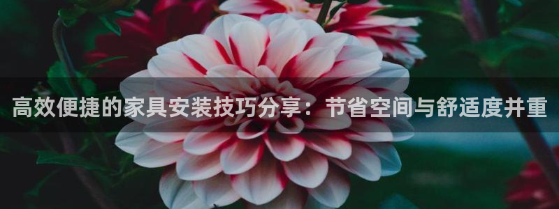 龙八国际手机游戏官网