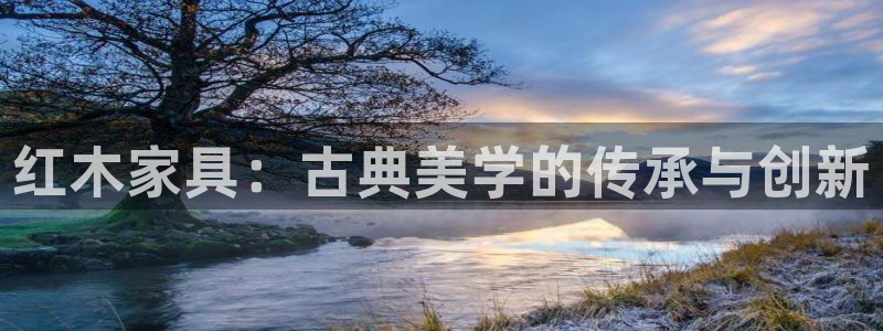 龙八国际可b48点tv