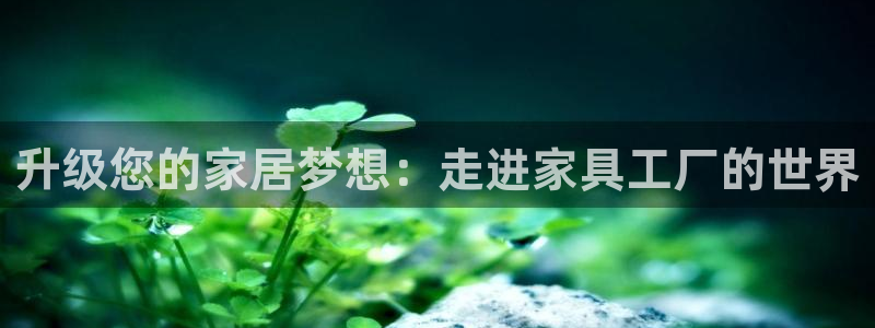 龙八国际娱乐地