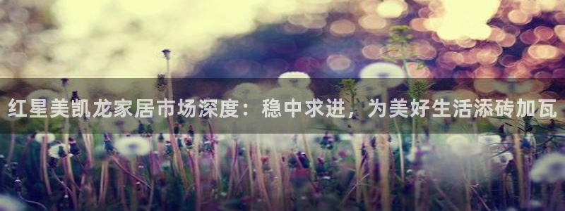 龙八国际服官网站