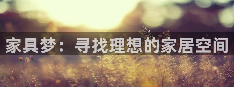 龙八国际集团有限公司