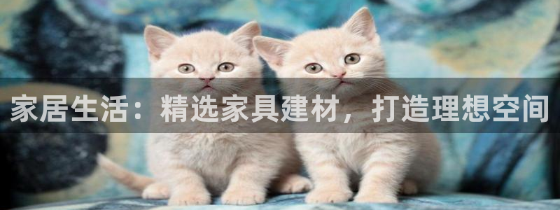 龙八国际app安卓