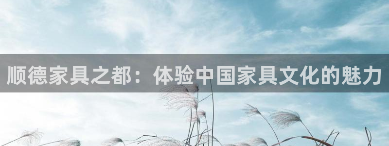 龙八国际视频网站