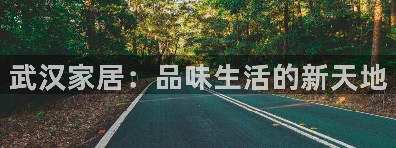 龙八国际pT娱乐官网