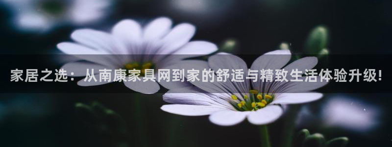 龙八国际服官网